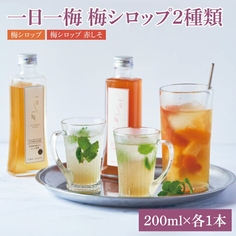 【ふるさと納税】【数量限定】一日一梅 梅シロップ 2種類詰合せ 5倍希釈（200ml×各1本）【梅干 水戸乃梅ふくゆい 赤しそ 天然酵母 水戸市 茨城県】（CU-4）