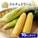 【ふるさと納税】【令和7年発送】朝どれ！守部さんちのドルチェドリーム (L)5kg) - 先行予約 数量限定 期間限定 スイートコーン とうもろこし 九州産 宮崎県産 川南町産 送料無料 D06403