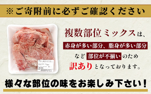 《限定増量》 くまもと黒毛和牛 DREAMバーグ 150g×5個 +2個！計1050g