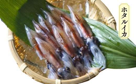 ホタルイカ　約500g（250g×2）