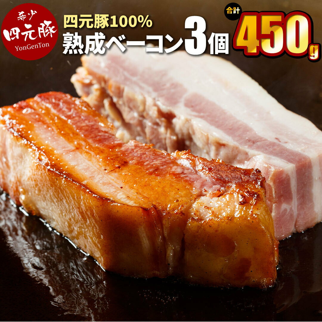 【ふるさと納税】 岩手県産 四元豚 熟成ベーコンブロック150g×3個 【GIFTON】 ギフト お肉 豚肉 贈答 お中元 お歳暮