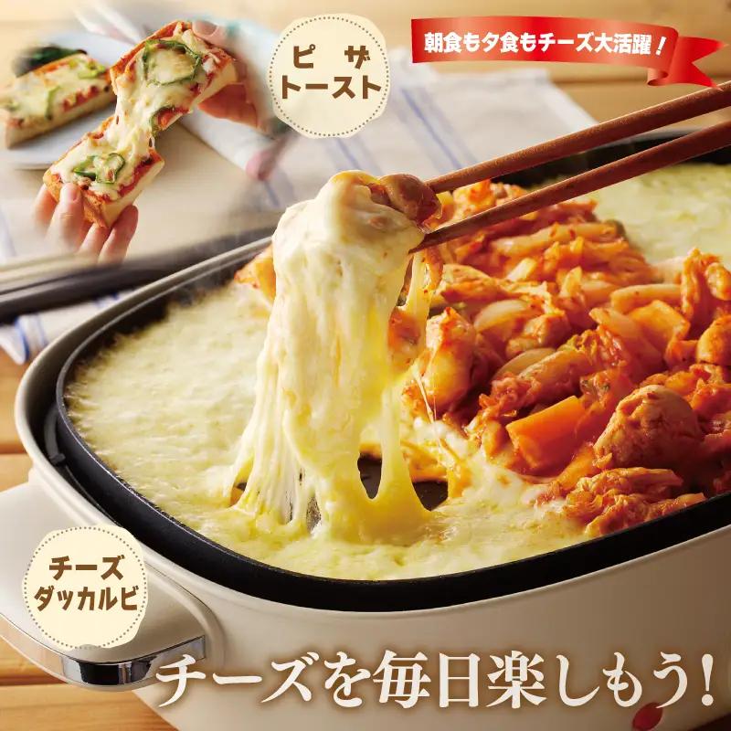 人気チーズ 定期便 3種セット×全3回 ムラカワチーズ【毎月配送コース】