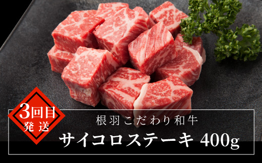 毎年大人気！【全7回 定期便】国産黒毛和牛 定期便限定 赤身ステーキ入り ステーキ尽くし ステーキ定期便！