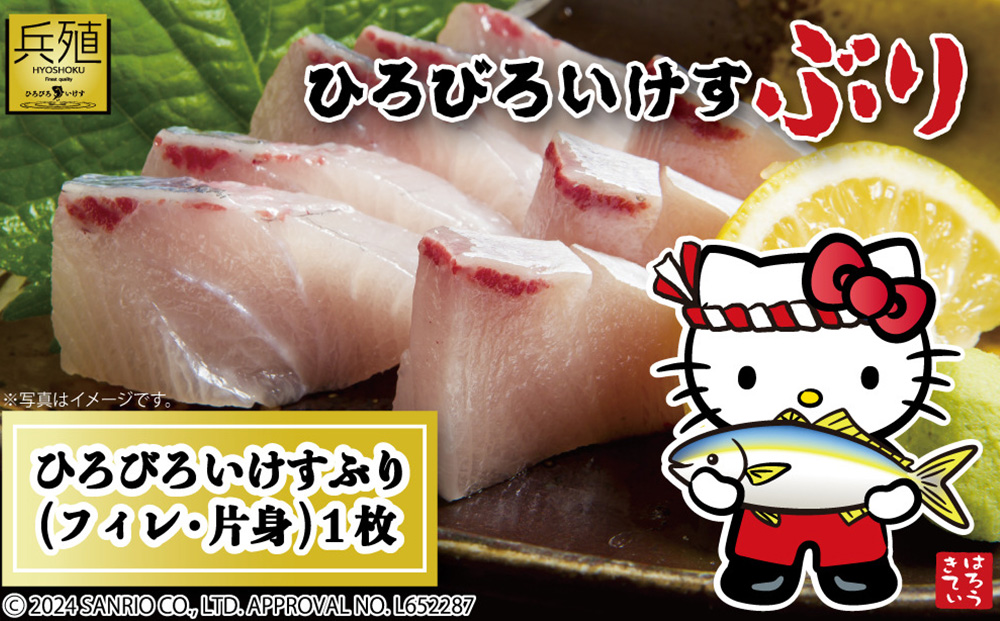 【先行予約】ひろびろいけすぶり(フィレ・片身)1枚 ※2月発送 | ぶり 刺身 津久見市