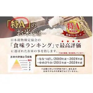 米 ななつぼし 白米 精米 令和7年産 5kg 北海道米