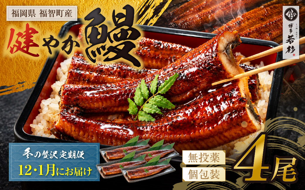 健やか鰻 国産うなぎ蒲焼(無頭)4尾(計620g以上) 定期便(冬発送・12月〜1月・全2回) 4尾 定期便(冬発送・12月〜1月・全2回)