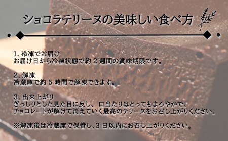 スイーツ 人気 テリーヌ ショコラ チョコレート 1本 16cm 500g 冷凍 おすすめ 下関市 人気 返礼品 山口 EN201