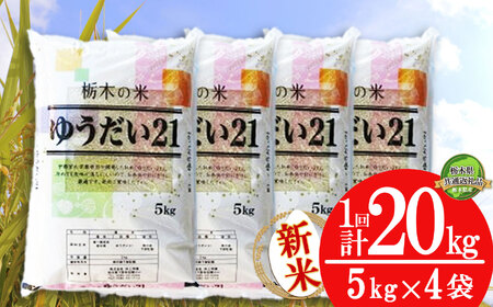 【栃木県共通返礼品】【先行予約】ゆうだい21 20kg（5kg×4袋） | 米 こめ コメ kome 白米 精米 お米 ゆうだい ユウダイ ﾕｳﾀﾞｲ 新米 栃木米 大粒 粘り 甘み お弁当 おにぎり 令和7年度米 令和7年度 2025年度米 2025年度 ブランド米 栃木県 特産品 送料無料 栃木県 下野市 しもつけ市 