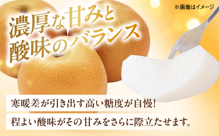 【先行予約】豊水梨【5～6玉】＜2026年8月下旬から発送＞【北海道・沖縄配送不可】 ／ 梨 なし ナシ 和梨 果物 フルーツ 国産 産地直送【株式会社フジ・アグリフーズ】 [BKAY022]