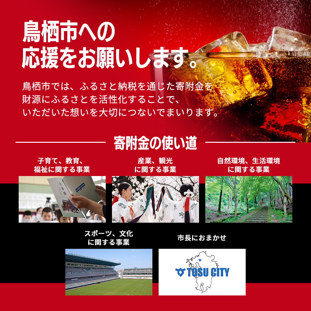 コカ・コーラ ゼロシュガー 500ml PET 1ケース 24本 ペットボトル コーラ 飲料 