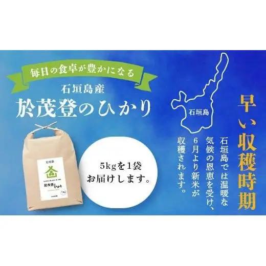 石垣島産 於茂登(おもと)のひかり 5kg みやぎ米屋　MK-1 
