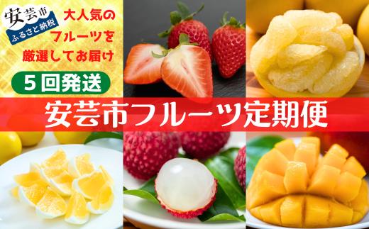 【年5回 旬のフルーツ定期便】季節のフルーツセット いちご ライチ 土佐文旦 マンゴー 小夏 定期便 ふるーつ定期便 果物定期便 旬 千光士農園 メリーガーデン 季節 フルーツ ギフト 果物 くだもの 贈答 ギフト 人気 おすすめ 安芸市 高知県