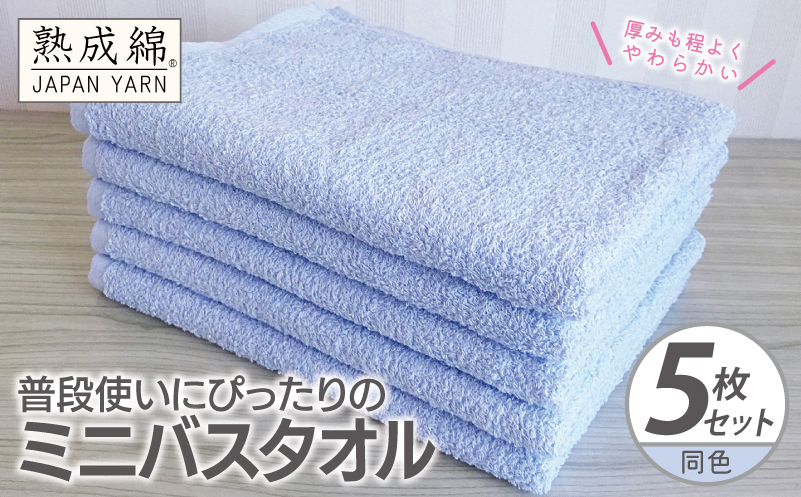 【スピード発送】普段使いにぴったりのミニバスタオル 5枚【サックス 泉州タオル 高品質 綿100％ 日本製 国産 単色 シンプル 大阪 泉佐野 大阪府 泉佐野市】