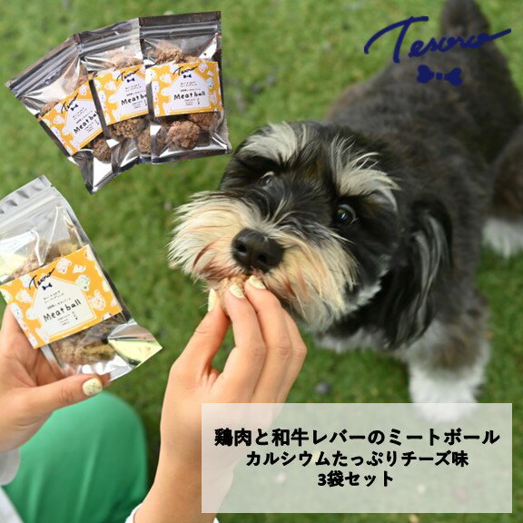 【ふるさと納税】【Tesoro】わんこ用／和牛レバーと鶏肉のミートボール　チーズ3袋（お肉屋さんが作る犬ご飯）
