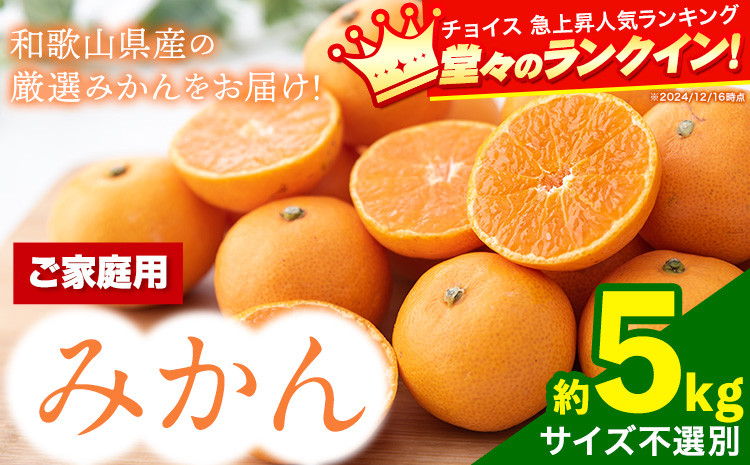
            みかん【訳あり/ご家庭】先行予約 和歌山県産みかん 約5kg【サイズ混合】 サンファーム《10月上旬-1月下旬頃出荷》和歌山県 紀の川市
          