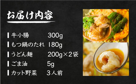 【全国放送されました】元祖味噌もつ鍋 平壌屋おすすめ 2-3人用 セット ( 野菜 + うどん )国産牛 もつ もつ鍋 ホルモン [VAH056]