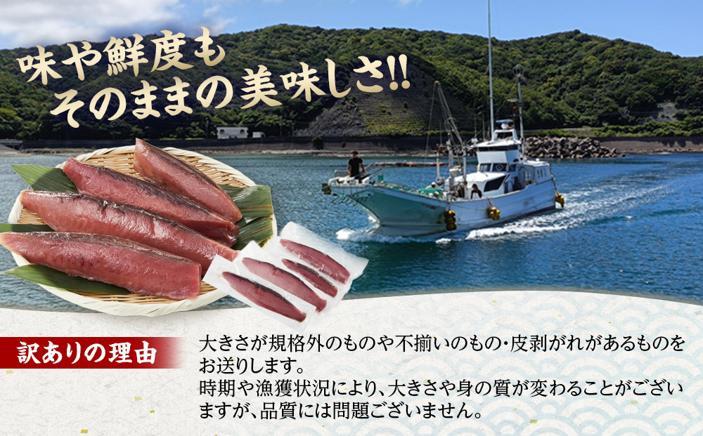 かつお一本釣り漁師が直送！ 日帰り生かつお 訳あり 1kg入