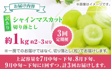 【先行予約】【3回定期便】 訳あり シャインマスカット 切り落とし 約1kg  【合同会社 社方園】[ZBZ047]
