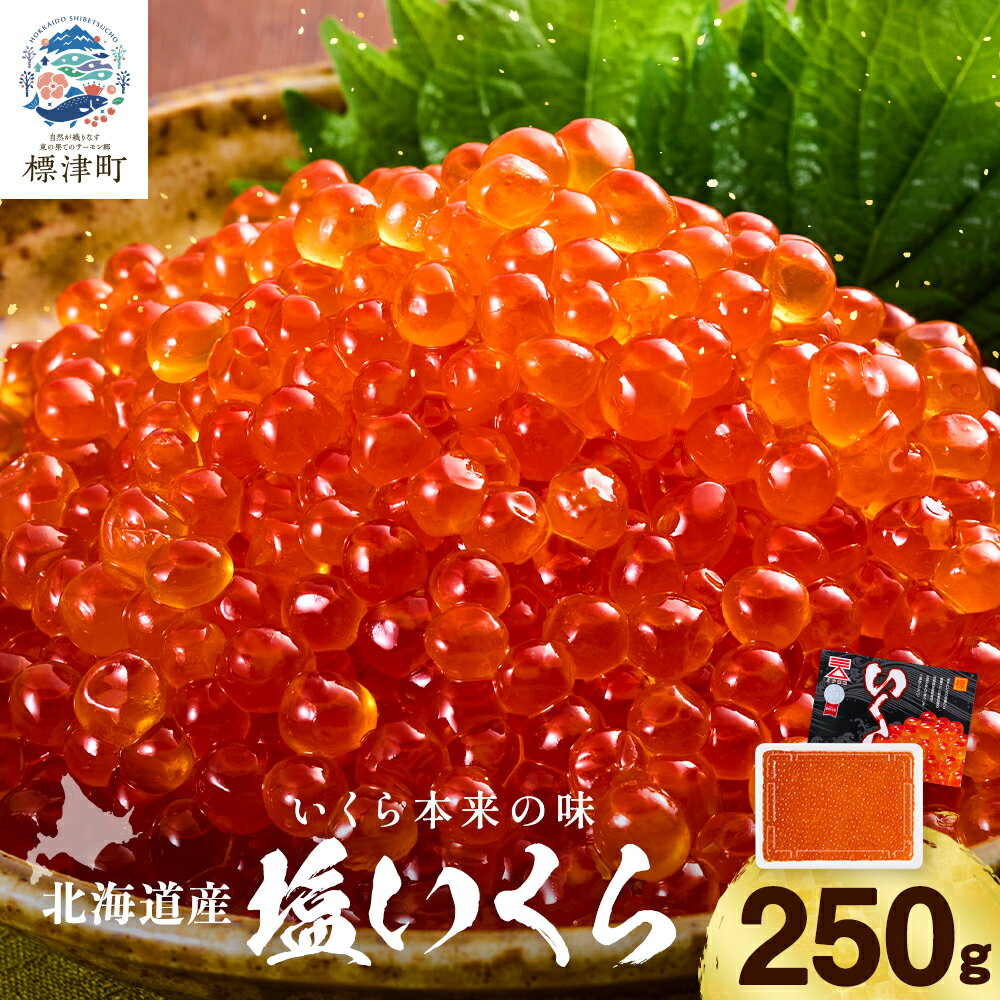 【ふるさと納税】北海道産 塩いくら ( 250g ) しおいくら いくら イクラ ikura 鮭卵 国産 天然 小分け 人気 厳選 おすすめ さけ サケ 鮭 魚卵 たまご 冷凍 冷凍イクラ 冷凍いくら 冷凍のイクラ【配送不可地域：離島】