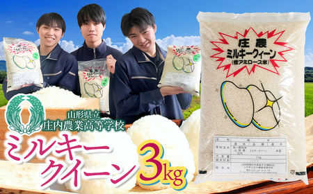 【令和7年産】 山形県立庄内農業高等学校の生徒が栽培したミルキークイーン 精米3kg　山形県鶴岡市