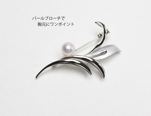 
            真珠 ブローチ 7.5mm SV シルバー アコヤ真珠 アクセサリー ファッション ジュエリー akoya パール フォーマル カジュアル プレゼント ギフト 贈り物 贈答品 お祝い 誕生日 記念日 冠婚葬祭 慶事 弔事 結婚式 卒業式 入学式 国産 三重県 伊勢 志摩 南伊勢町 / パールハヤシ SV アコヤ真珠 7.5ミリ ブローチ （No30888）
          