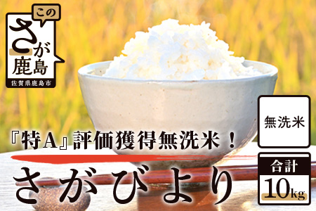 B-446【令和5年産】鹿島市産厳選さがびより（無洗米）白米 １０kg
