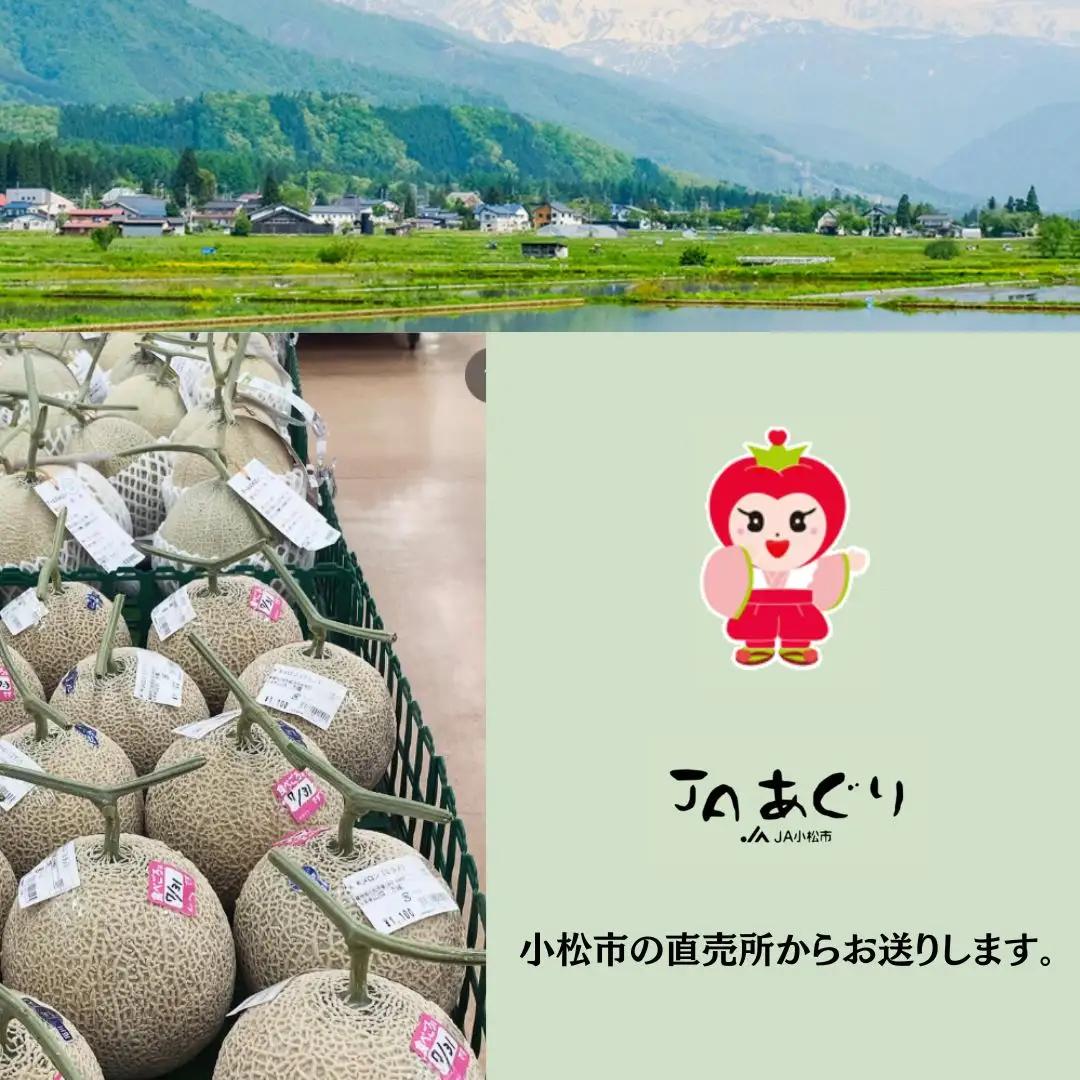 アールスメロン 1玉 約2kg マスクメロン 青肉 石川県 小松市 ar004n00