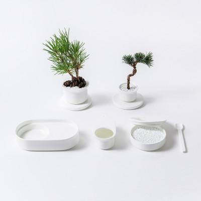 ふるさと納税 白山市 NIKKOのTebleBonsai+肥料「ボナース」セット(TB-2) |  | 01
