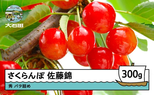 【先行予約】 さくらんぼ 佐藤錦 秀 300g 2026年産 令和8年産 山形県産 果物 くだもの フルーツ 期間限定 冷蔵配送 グルメ 取り寄せ ご当地 特産 産地 直送 東北 山形県 人気 ry-snslb300