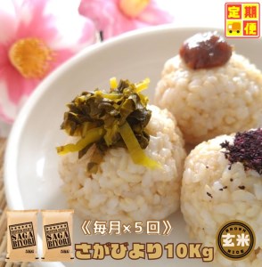 CIC69_【５回定期便】さがびより１０kg【玄米】（５kg×２袋） 【五つ星お米マイスター厳選！】