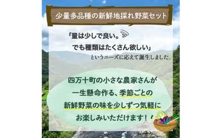 【少量多品種】 四万十育ちの地採れ 野菜セット （6〜8種類）野菜 ／Qjs-A21