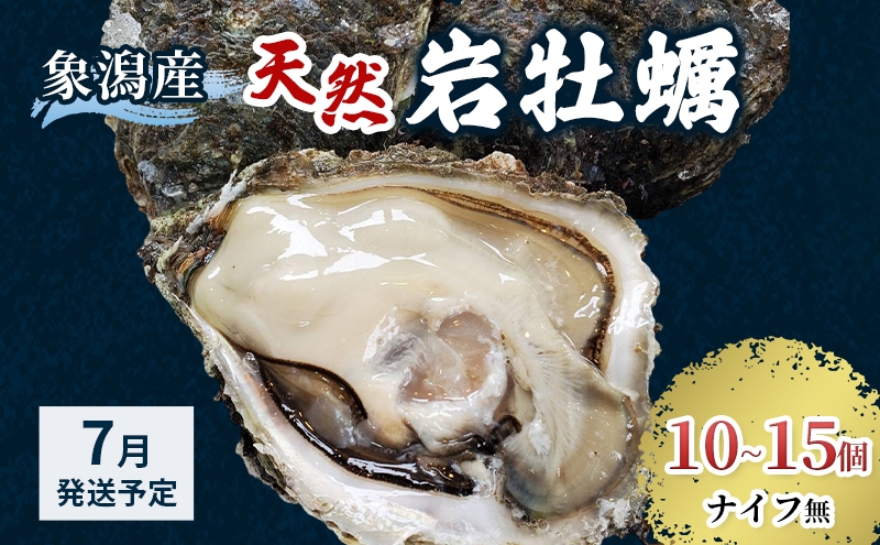 
                  【 先行予約 7月上旬～下旬発送予定】象潟産 天然岩牡蠣 10～15個 ナイフ無【 牡蠣 夏牡蠣 かき 象潟 生食可 魚介類 海鮮 海産物 海の幸 】 さとう鮮魚店
                