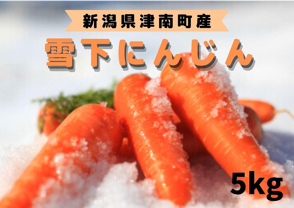 【令和8年産 先行予約】【季節限定】雪国ならではの逸品！津南町の雪下にんじん 5kg 25～35本 人参