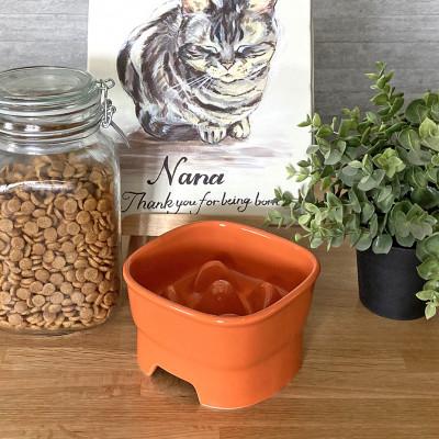 ふるさと納税 瑞浪市 美濃焼　陶器製ペット用フードボウル【早食い防止 高台フードボウル(中/オレンジ)pet110】