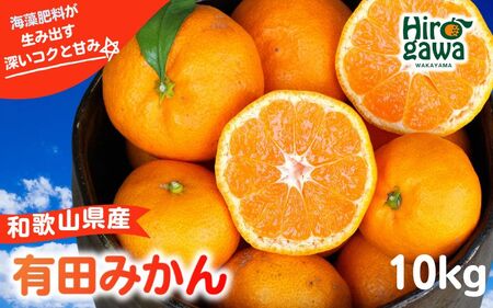 ▼海藻施用 有田みかん 手選果 10kg ※2026年11月中旬～翌年1月上旬頃に順次発送予定 /mikan みかん 和歌山みかん ありだみかん 果物 くだもの フルーツ 柑橘 みかん 蜜柑 産地直送 数量限定 国産 【aii004-r-10A】