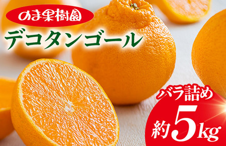 デコタンゴール （5kg） [K003680K5] 人気商品 国産 高級フルーツ 人気商品 みかん 柑橘 フルーツ 果物 乃万青果 のま果樹園 不知火 ポンカン