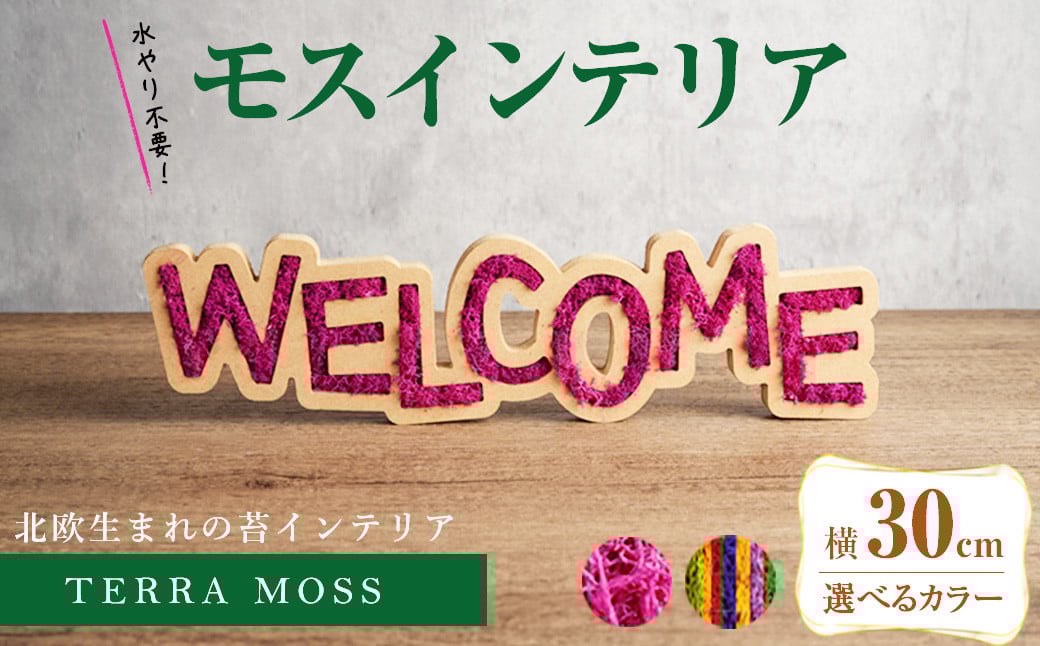 
            【カラーが選べる】モスインテリア「WELCOME」＜横300mm・高さ80mm・幅15mm＞ 観葉植物  苔 コケ テラモス インテリア 植物 【結び】 sh027
          