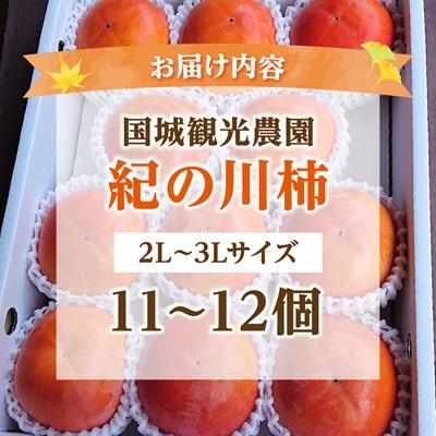 ふるさと納税 橋本市 【2025年度発送分】国城観光農園の紀の川柿11〜12個(2L〜3Lサイズ) |  | 02