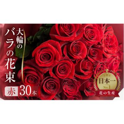 ふるさと納税 田原市 大輪のバラの花束 赤 30本 (40cm)