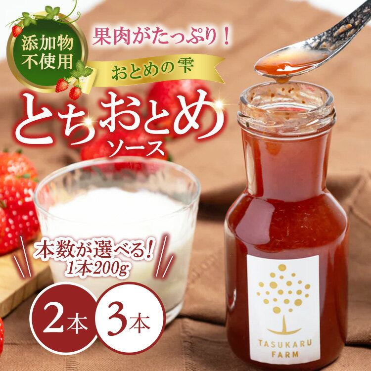 【ふるさと納税】【選べる容量】いちごソース 2本・3本 ｜ 無添加 ギフト 国産 栃木県 宇都宮市