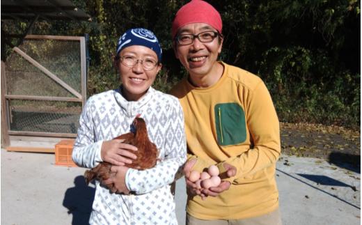 龍神コッコの小さなお肉×2羽分  / 地鶏 鶏 かしわ チキン ムネ もも ささみ 肝 砂ずり 心 たまひも 冷凍 真空パック  田辺市 龍神村 【trt024-1】