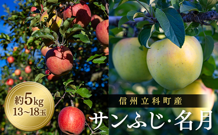 サンふじ・ぐんま名月ミックス（約５㎏、優13～18玉）　