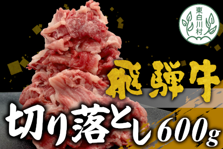 【4月発送】飛騨牛 切り落とし 600g 牛肉 和牛 肉 切落し ブランド牛 国産 10000円