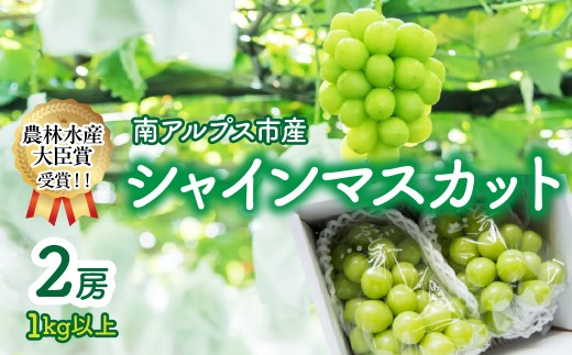 ＜2026年発送先行予約＞【農林水産大臣賞受賞!!】シャインマスカット 2房1kg以上　ALPAS004