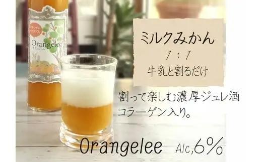 有田みかんリキュールギフト（B1061-1）