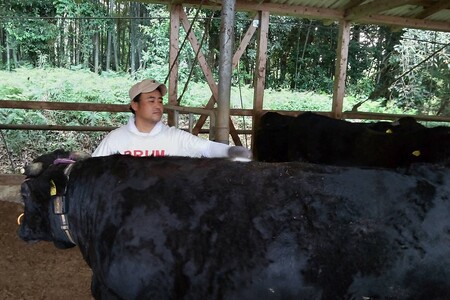 ＜なかむら謹製＞【博多和牛】黒毛和牛ももすき焼き用うす切り500g【C-150】博多和牛 黒毛和牛 すき焼き 筑穂牛 もも肉 もも