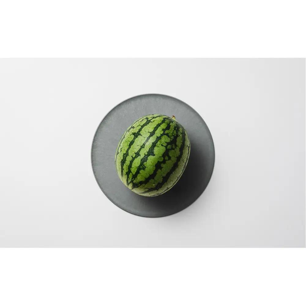 【高島屋選定品】CHOPLATE 220 & CHOPLATE BOWL（Stone Gray）セット