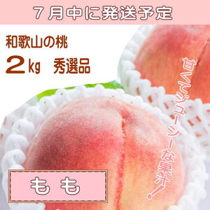 【定期便】夏をお届け！フルーツ定期便！小玉すいか・桃・ピオーネ（全3回） 【tkb345】