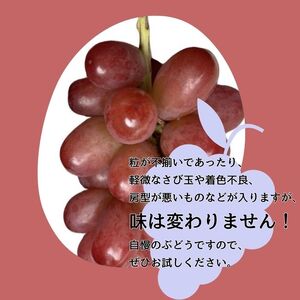 訳ありクイーンルージュTM２kg＜2025年10月より発送開始＞