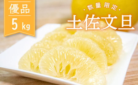 北川果樹園 土佐文旦 5kg 優品 文旦